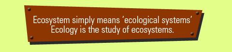 meaning of ecosystems